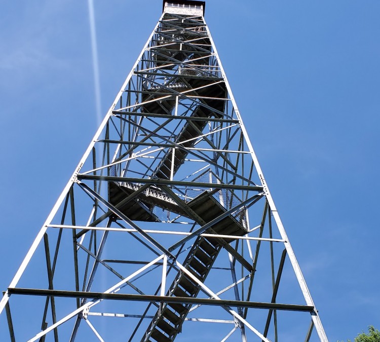 BlueRock State Park Fire Tower (Chandlersville,&nbspOH)